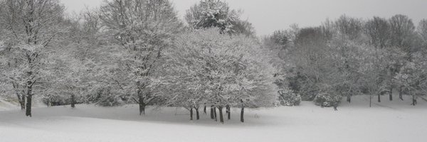 LOVESE19 Profile Banner