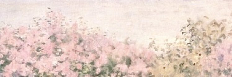 anotherlowgirl's profile banner image
