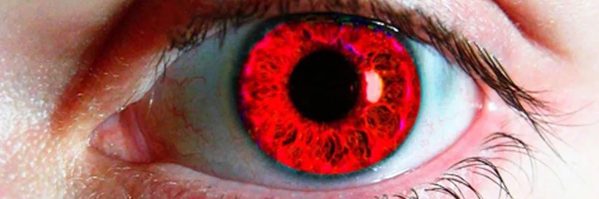 TexanYankee banner