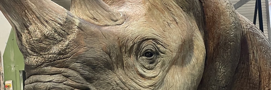 Quagga Sculpture banner