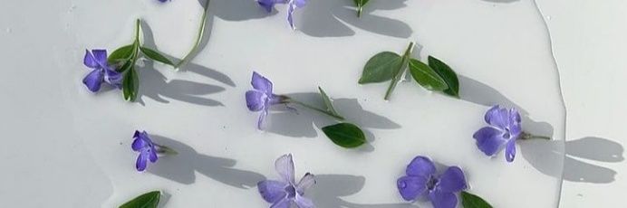 delvisendyy's profile banner image