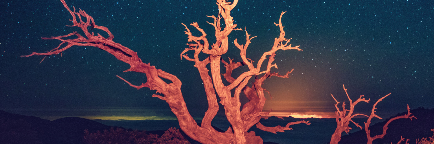 Joel banner