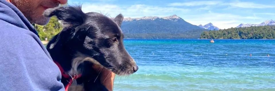 Malu💚 banner