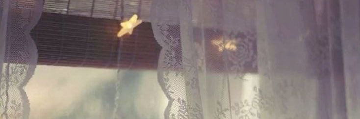 lalaboopsi's profile banner image