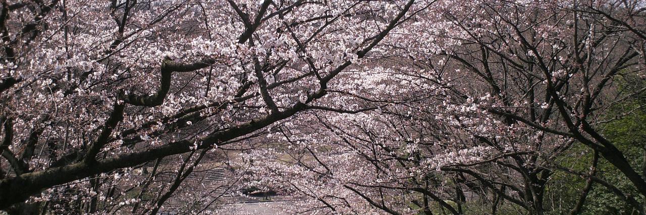 keikoitohanano's profile banner image