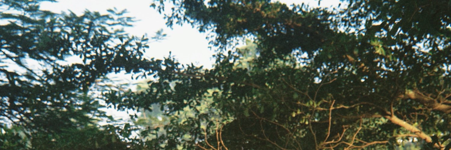 esunielc's profile banner image