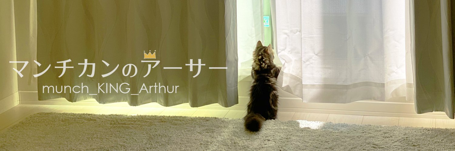 マンチカンのアーサー banner