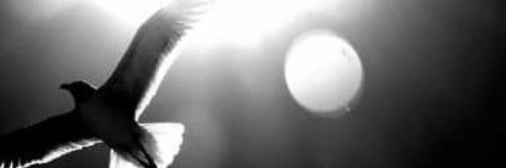 ~ ود ~ ☃️ banner