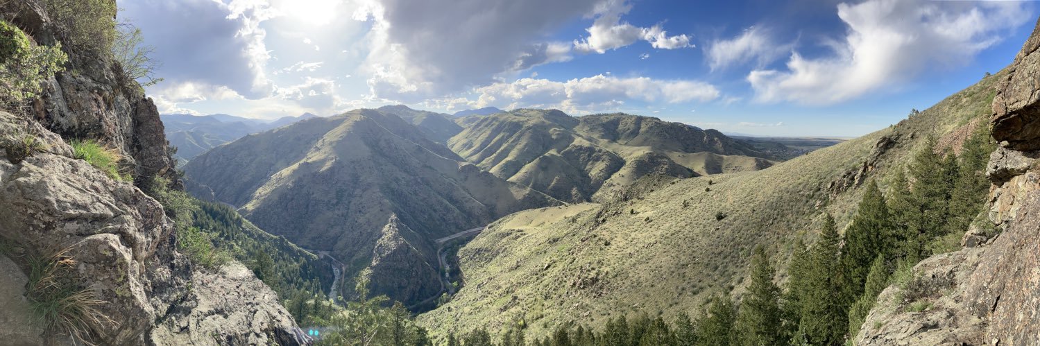 Just For Shinzies banner