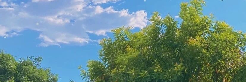 ababab.eth🛸 (📦,💫)(💙,🧡) "🏰"❤ Memecoin banner