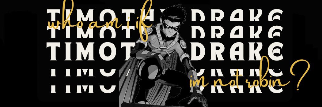 T̲H̲I̲R̲D̲ R̲O̲B̲I̲N̲ 。 banner