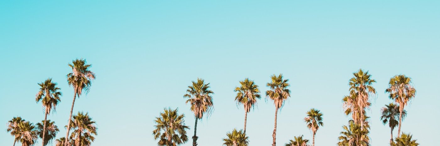 CanopyFinance's profile banner image