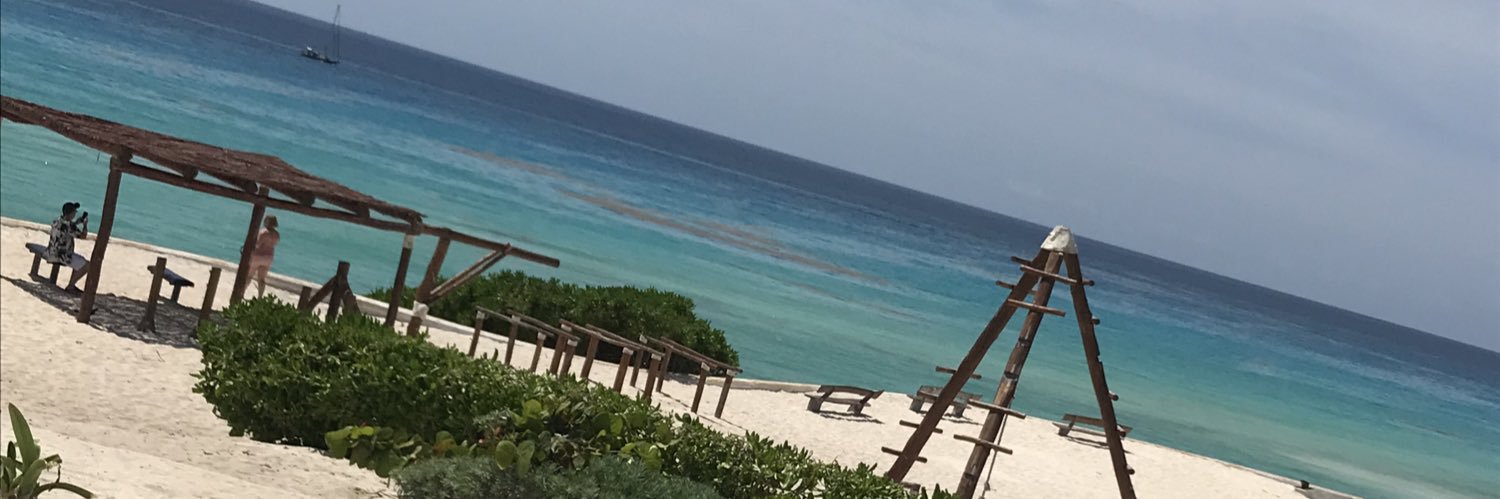 naty_monier's profile banner image