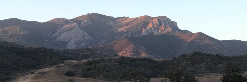 Steve Johnson banner