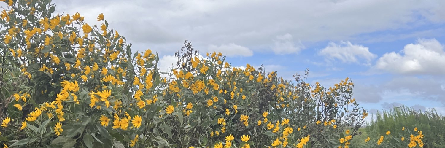 dewimarthas's profile banner image