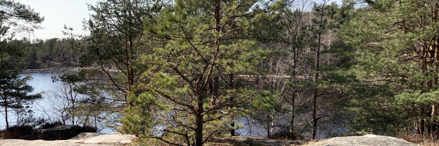 MarvinJPAGA's profile banner image