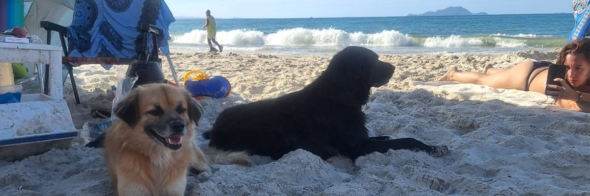 larigis's profile banner image