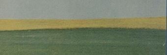 Feez banner