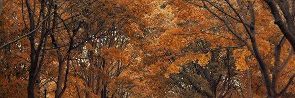 BanooyeMo Profile Banner