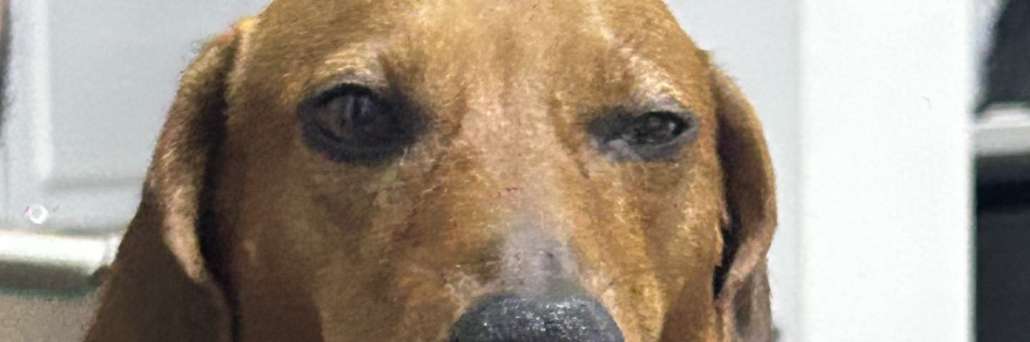 Geraintbarrot's profile banner image