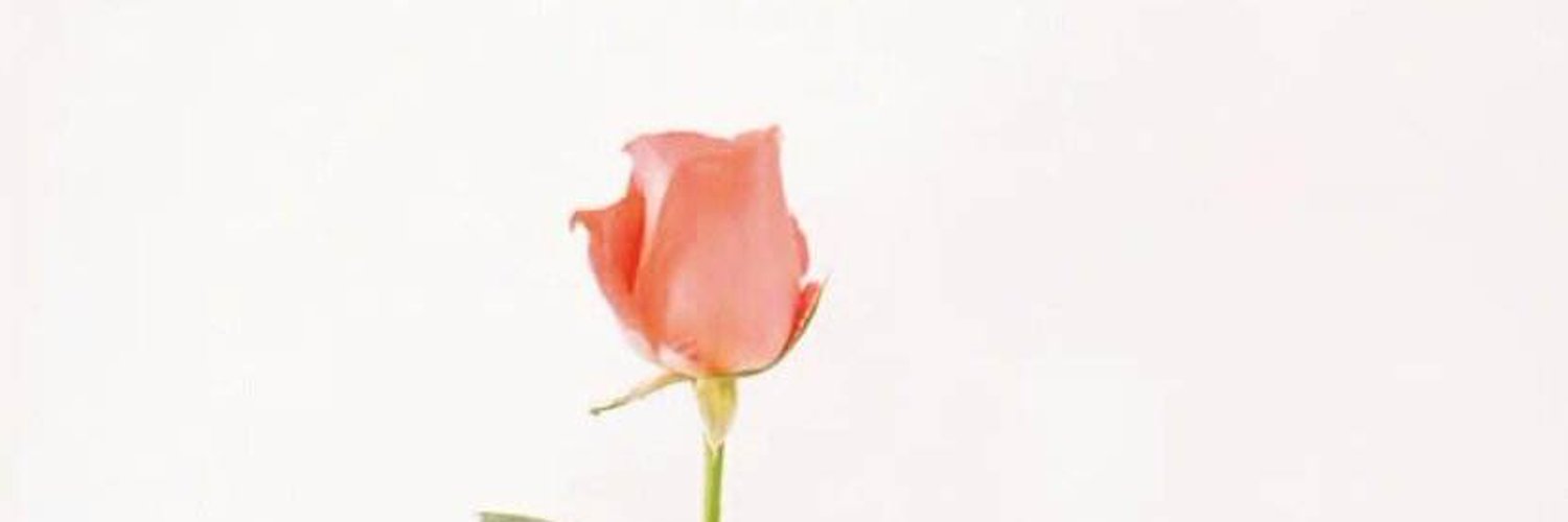 hidden-flower-yuncanfemo-twitter