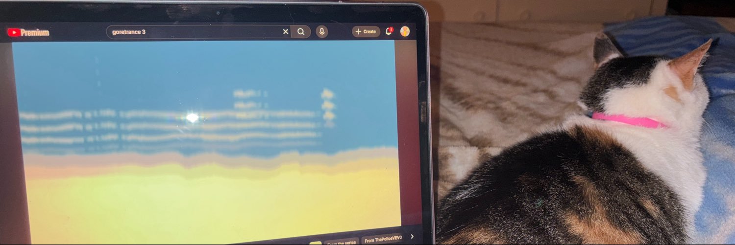 evlkatt44's profile banner image