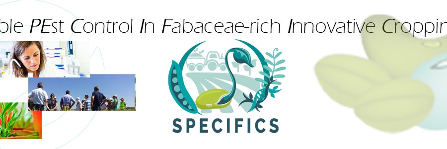 SPECIFICS (PPR CPA) banner