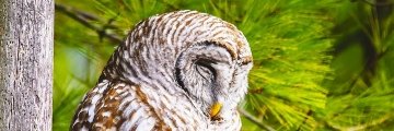 🇲‌🇷‌🇧‌🇱‌🇺‌🇪‌🇹‌🇮‌🇨‌🇰‌‌🇰🇪's banner