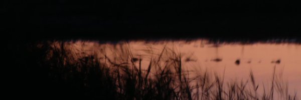 tobymiddlem Profile Banner