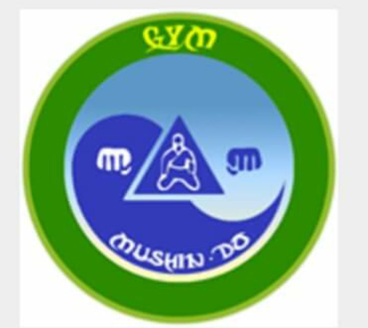 Mushindoisla's profile banner image