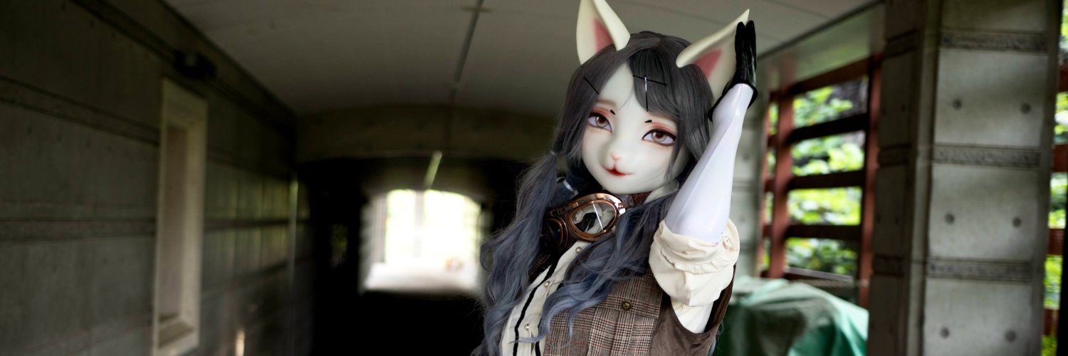 ヒスハ's banner