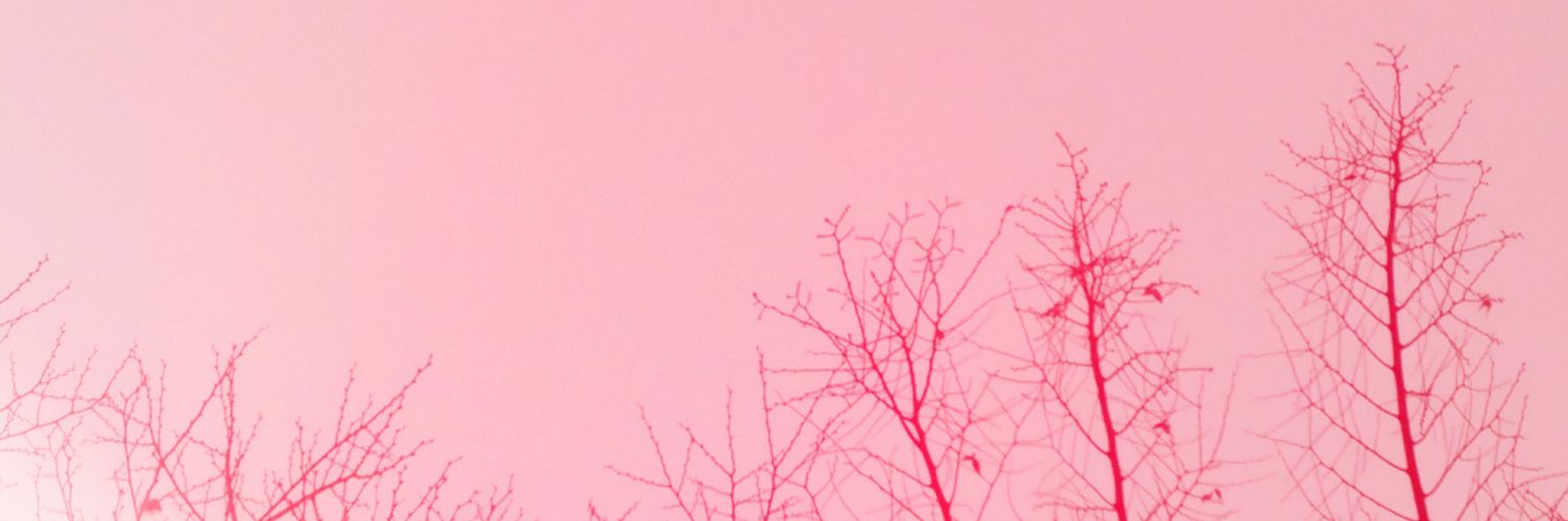 songhodejunio's profile banner image