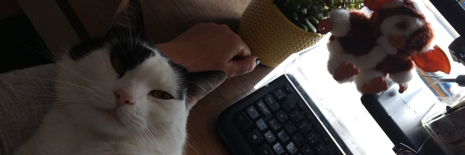artisaneditor's profile banner image