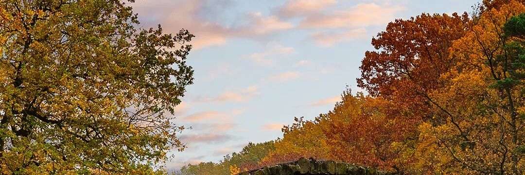 Iamrobertcurrie's profile banner image