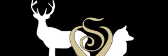 Nackskott1's profile banner image