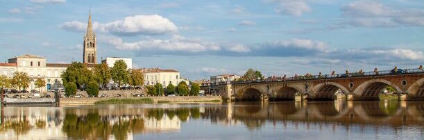 Vincente Stangherlin banner