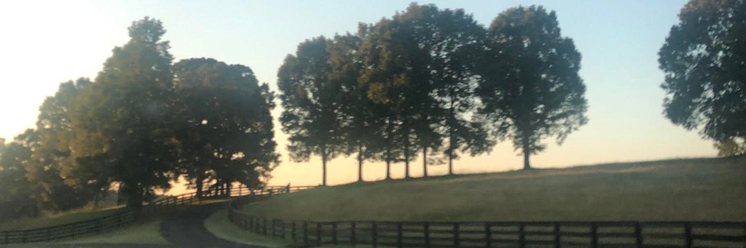 sregitnig's profile banner image