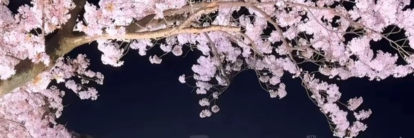 slm_se1 Profile Banner