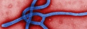 Rare and Imported Pathogens Laboratory (RIPL)'s banner