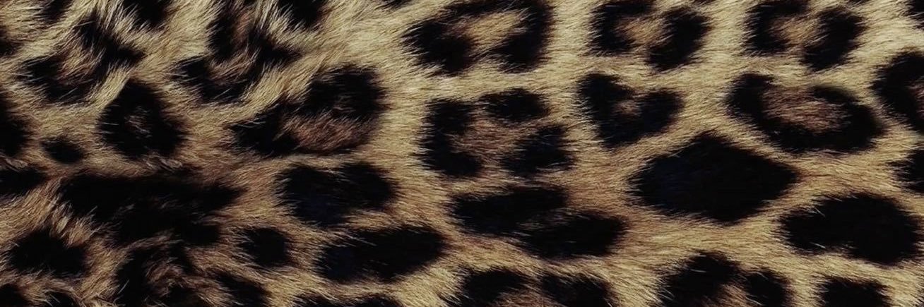 sixxttn's profile banner image