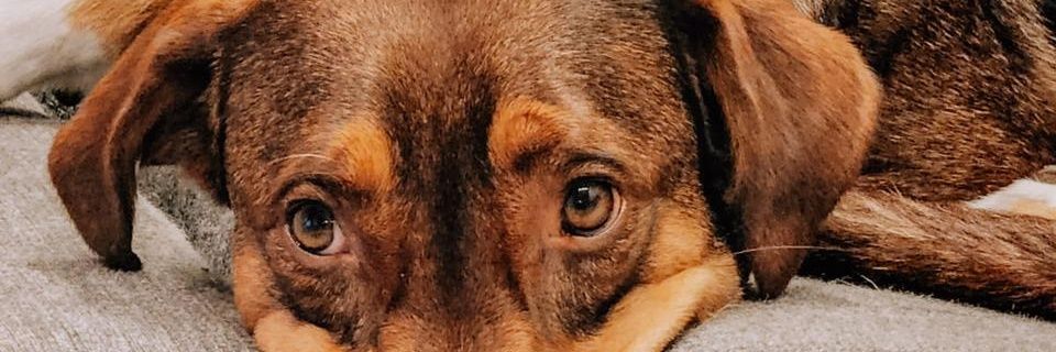 FerOttolini's profile banner image