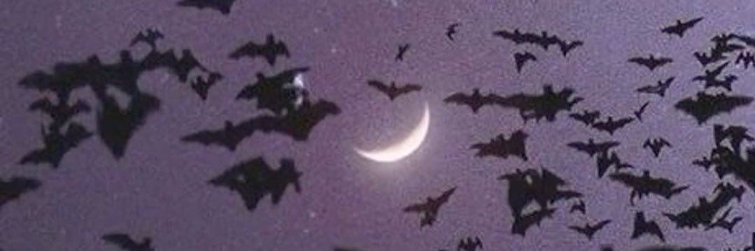 andrewnomical's profile banner image