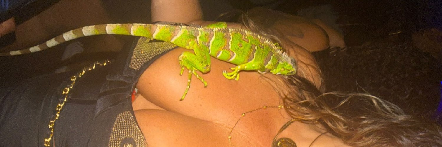 PRIS_26's profile banner image