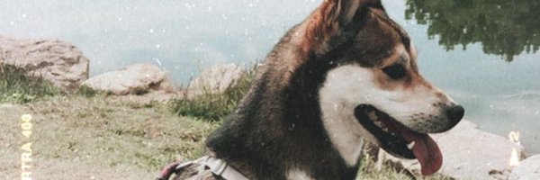 Caleb Profile Banner