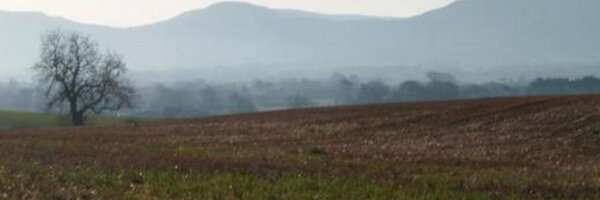 Tote_Stokesley Profile Banner