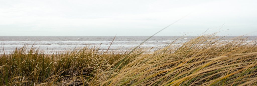 __hergen's profile banner image
