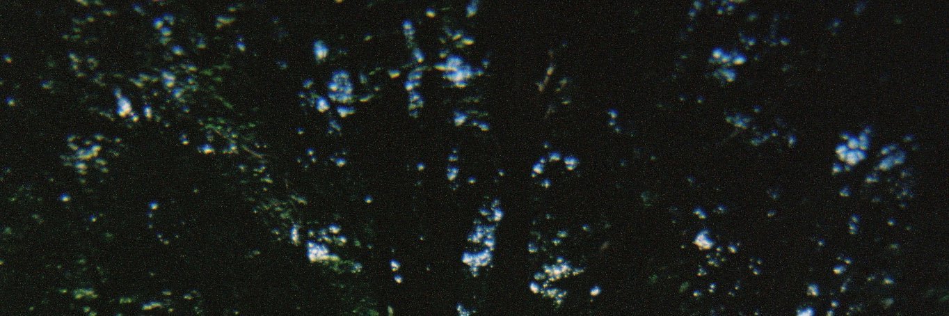 norenpearl's profile banner image