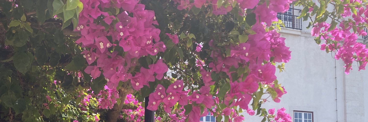 camssn's profile banner image
