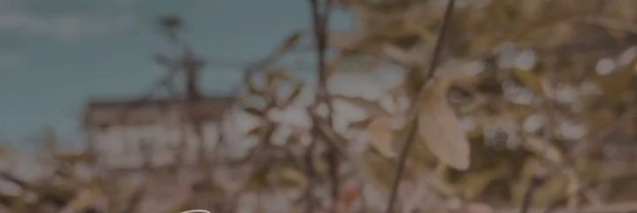 firdaliaaa's profile banner image
