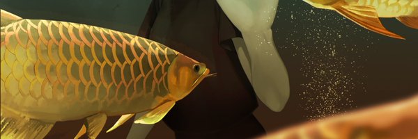 mmmo___3 Profile Banner
